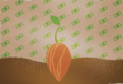 seed planting image